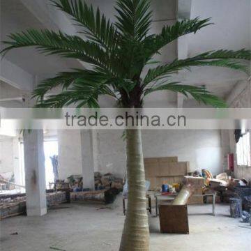 SJ2001116 High Quality Cocount Tree Factory Outlet photo-3