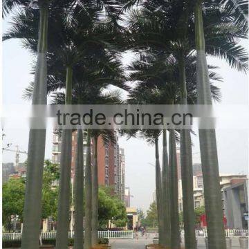 2017 Best Price Artificial Outdoor Palm Tree Plastic Palm Tree photo-4