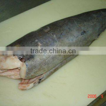 Oilfish DWT