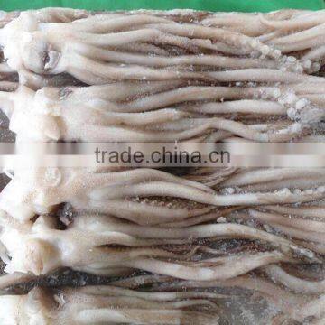 Squid Head With Frozen photo-2