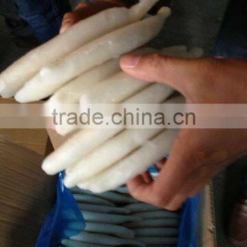 IQF/BQF Frozen Squid Tube photo-4