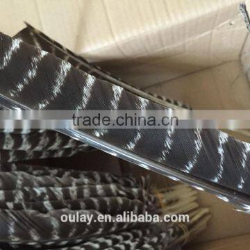 Full Size Colorful Treated Turkey Feathers Striped Feathers photo-5