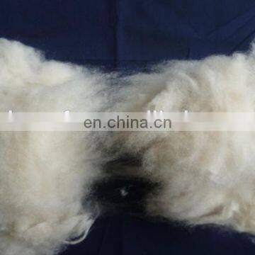Carded and Dehaired Cashmere Fiber for India Market photo-4