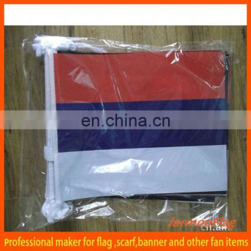 customized country bunting string flag banner