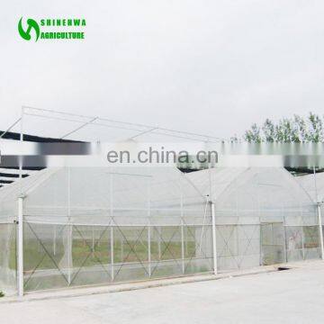 2017 China Commercial Film Greenhouse Supplies