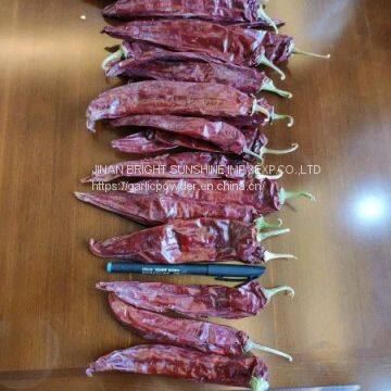 Sweet Paprika Pods in 25LB Bag for Mexico and USA