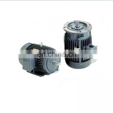 lightweight electric motor