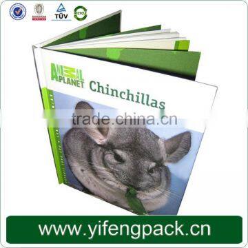 China Guangzhou Paper Board Cover Children Book Printing photo-4
