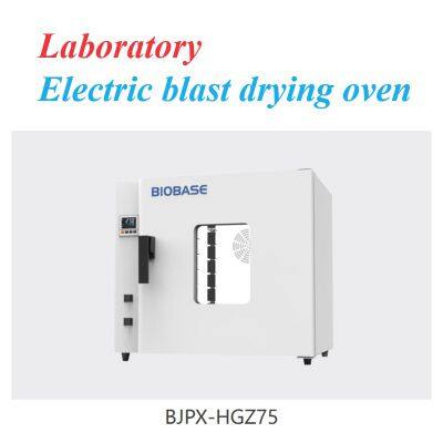 Laboratory Electric Blast Drying Oven photo-4