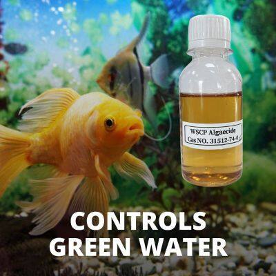 Algae Control for Fish Tank & Freshwater Aquarium Poly[Oxyethylene (dimethyliminio) Ethylene (dimethyliminio) Ethylene Dichloride] 5.4% 31512-74-0