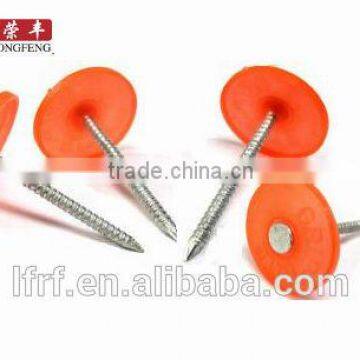 12G*3/4''Factory price plastic cap fastener