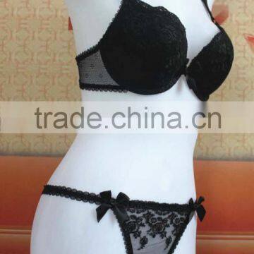 2016 Sexy Tranparent Printing Mesh Padded Cup Bra Panty Sets for Women photo-2