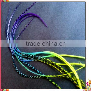 2014 New Arrival hot selling Pastel ombre feathers