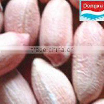 peanut for oil