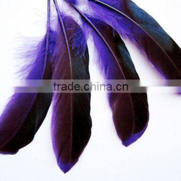 Two Tone Duck Feathers - Iridescent Black and Purple