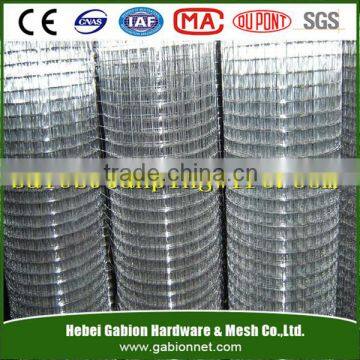 Anping High Quality Hot Dipped Galvanized Welded Wire Mesh