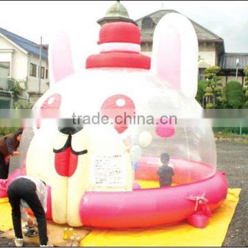 inflatable swimming pool