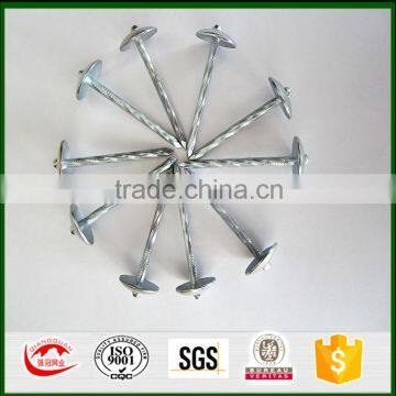 Umbrella Head Roofing Nail with factory price and ISO