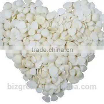 Supply with Chinese Blanched Bulk Apricot Kernels with good quality for Sales