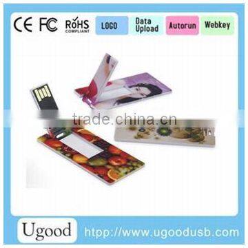 Rectangle Necklace Card Stick Style,No Encryption transparent business card USB drive, Novelty Customized plate USB disk