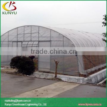 Arch roof type tunnel greenhouse polycarbonate greenhouse panels