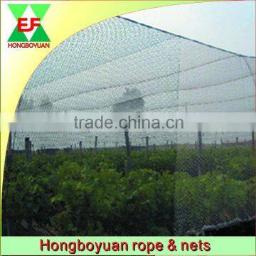 100% new virgin anti bird net with UV product made in China