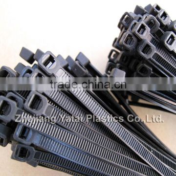 Polyamide Cable Tie (CE,ROHS,PAHS,REACH)