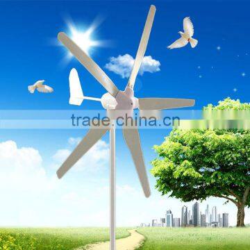 Hot Sale! 100 200 300 Watt Wind Generator, Camping Wind Generator