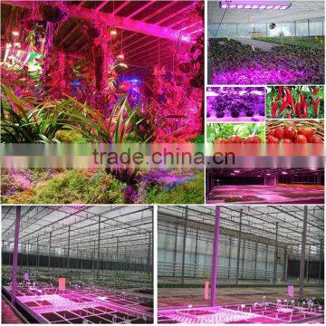 Newest Greenhouse Grow Led Lights 72w / 120w / 270w / 450w, Led Grow Light