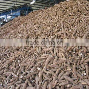 TAPIOCA STARCH/ CHIPS (export.vilaconic(at)gmail.com