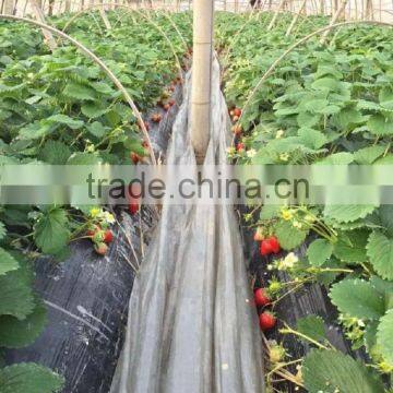 Agricultural Black PE Mulch Protective Plastic Film photo-3