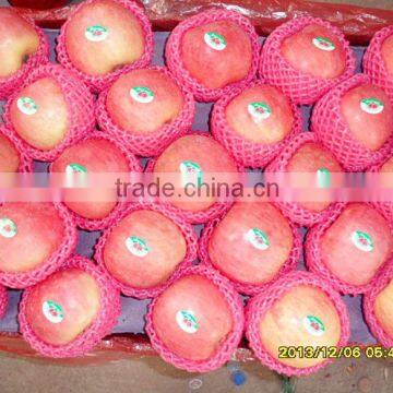 Chinese Fuji Apple