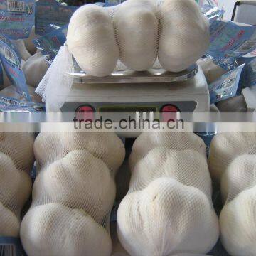 Pure White Garlic