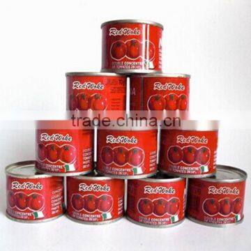 Canned Tomato Paste Tomato Sauce,Tomato Ketchup Double Concentrated Tomato Paste photo-5