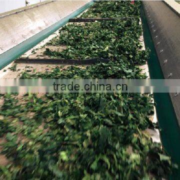 China Import Direct Spinach Extract Latest Products in Market photo-5
