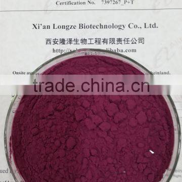 Brazilian Acai Berry Powder Extract 5:1 10:1 20:1 and Spray-dried Acai Berry Fruit Powder