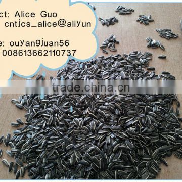 different types of sunflower seeds