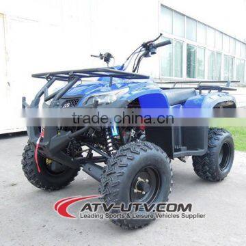 250cc EEC Approved Adult Cheap Dune Buggy (AT2503) photo-3