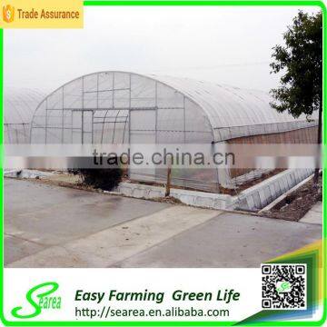Used Galanized Steel Pipe Greenhouse for Sale