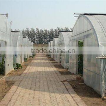 Cheap Price Polyethylene Film Covered Tunnel Greenhouse For Sale photo-4