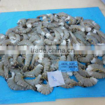 Frozen HLSO Black Tiger Shrimps