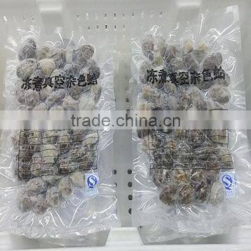 Vacuum Packed Short Necked Clam Size 51-60