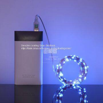 USB 5 Meter 50 Lights 10 Meter 100 Lights Colorful Munti Color Choosing Customized Copper String Fairy Firefly Light photo-2