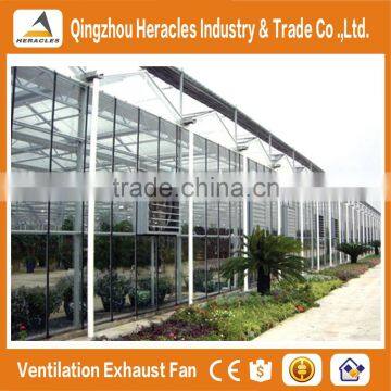 Hot Sale Trade Assurance Factory Price Multi Span Venlo Type Glass Greenhous for Vegetables photo-4