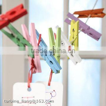 Mini Color Clothespins Wood Pegs Assorted Wood Clothespins for Whosales photo-2
