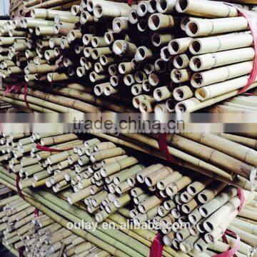 24~26MM 240CM Tonkin Bamboo Stakes For Orchard