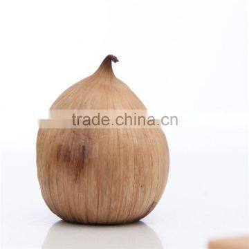 Korean Hot Sale Solo Black Garlic--Your beauty choice