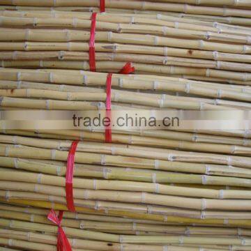 Bamboo Poles/Bamboo Canes/Tonkin Bamboo Poles