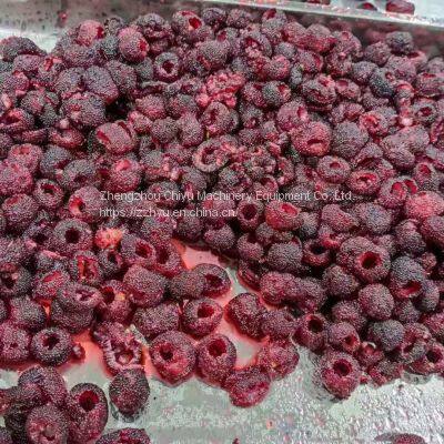 High Efficiency Automatic Fruit Pitting Machine Cherry Pitter Olive Pitter Machine for Fruit Processing Plants photo-3