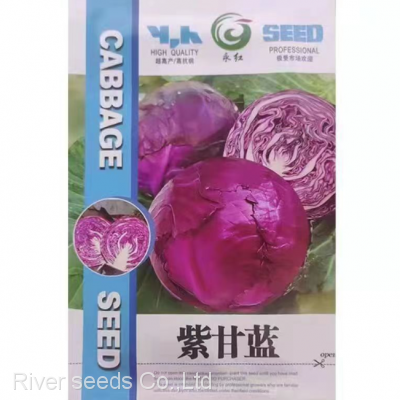 200pcs NON-GMO High Germination Green Red Cabbage Seeds Packet for Planting photo-3